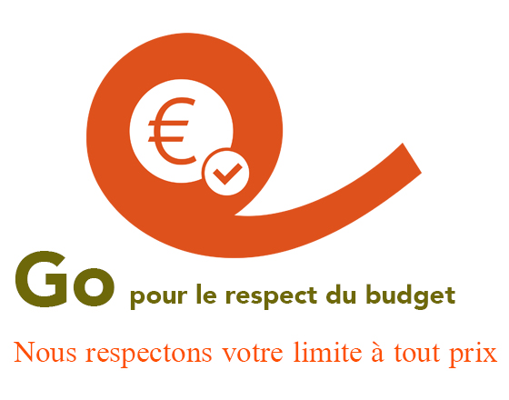 Symbole euro orange avec une coche sur fond blanc, accompagné du texte "Go pour le respect du budget" en vert et rouge.